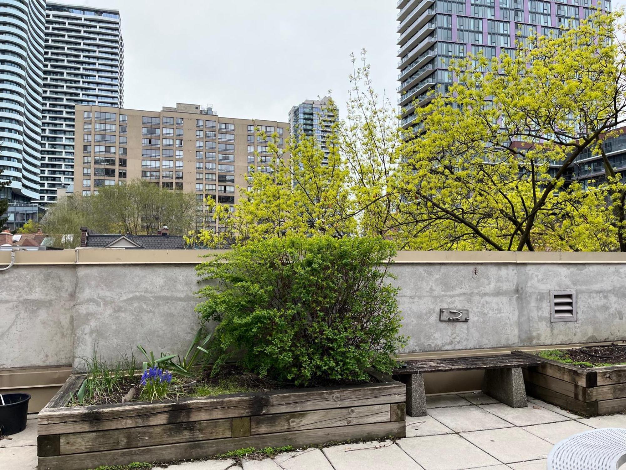 Neill Wycik Hotel Toronto Luaran gambar